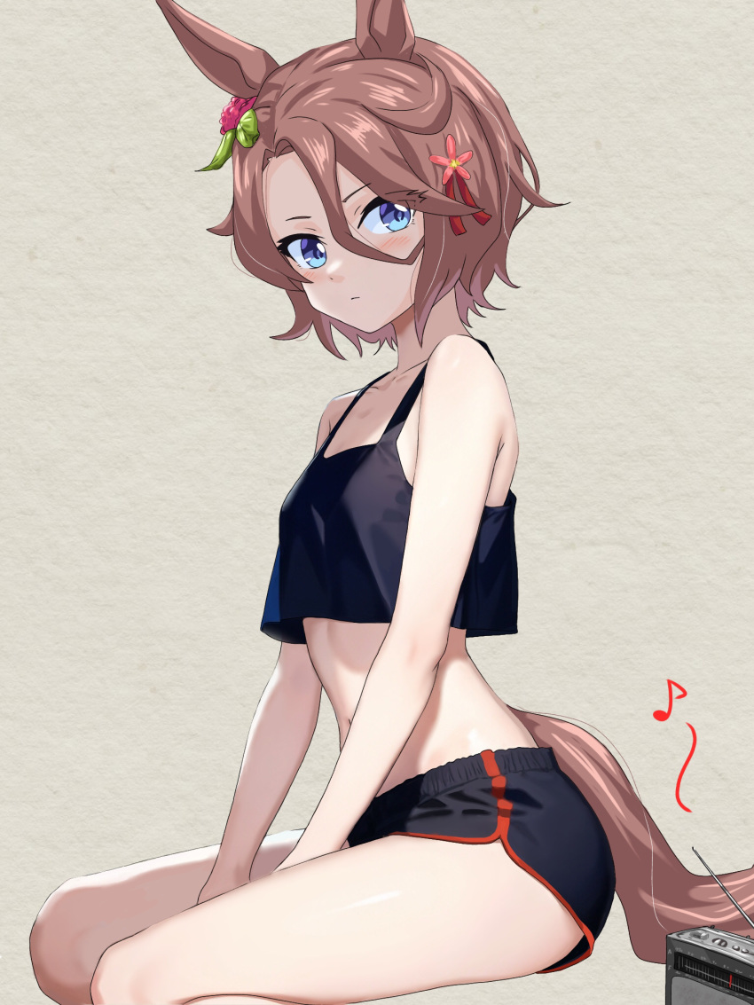 1girl animal_ears bare_arms bare_legs between_legs black_shorts blue_eyes blush brown_hair closed_mouth collarbone crop_top dolphin_shorts flower grey_background hair_between_eyes hair_flower hair_ornament hair_ribbon hand_between_legs highres horse_ears horse_girl horse_tail looking_at_viewer narita_taishin_(umamusume) red_flower red_ribbon ribbon short_hair short_shorts shorts sitting solo tail umamusume zenbrush2