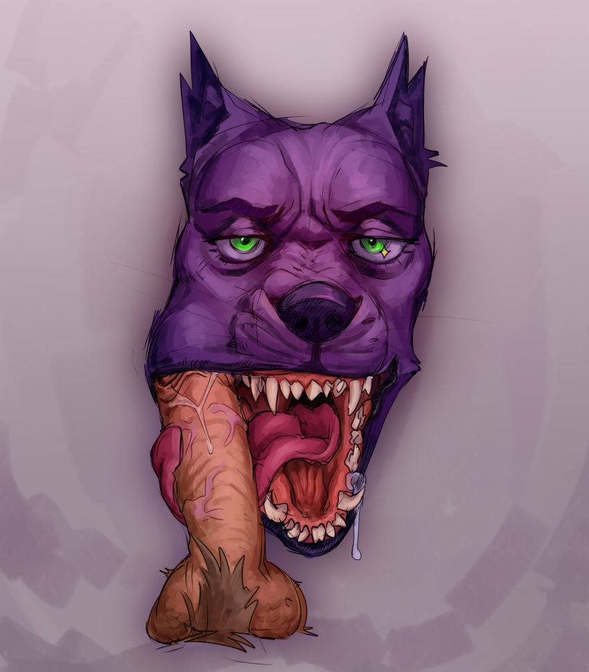 absurd_res anthro black_nose bodily_fluids canid canine dripping genitals green_eyes hi_res humanoid_genitalia humanoid_penis licking long_tongue male mammal open_mouth oral penis purple_body saliva saliva_drip saliva_on_penis saliva_string sex sovierdas sucking_penis teeth teeth_showing tongue tongue_out tonguejob