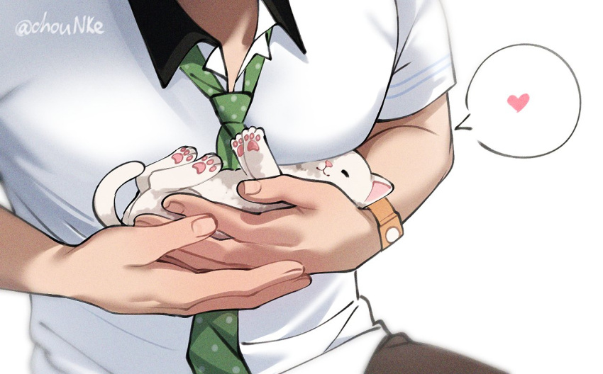 1boy affectionate animal cat chounke close-up collared_shirt commentary english_commentary feet_out_of_frame free! green_necktie head_out_of_frame heart holding holding_animal holding_cat kitten necktie own_hands_together pants pectoral_focus pectoral_press pectorals shirt solo spoken_heart tachibana_makoto