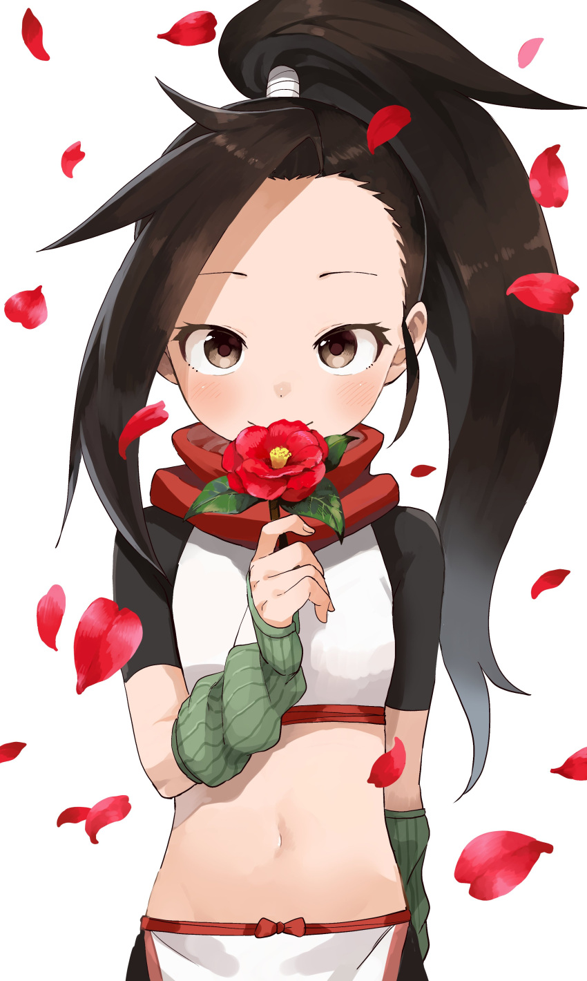 1girl absurdres black_hair brown_eyes commentary_request crop_top flower forehead high_ponytail highres holding holding_flower kunoichi_tsubaki_no_mune_no_uchi long_hair midriff navel petals ponytail red_flower short_sleeves simple_background solo tsubaki_(kunoichi_tsubaki_no_mune_no_uchi) very_long_hair white_background yamamoto_souichirou
