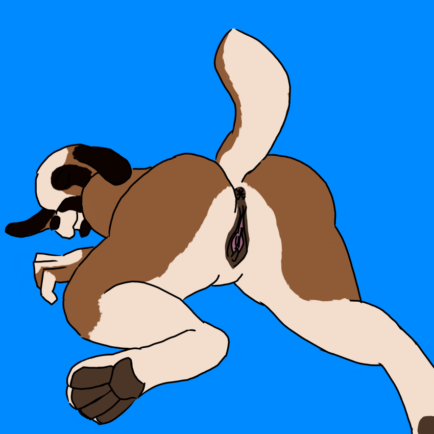 absurd_res anthro anus canid canine canis domestic_dog female floppy_ears hi_res humanoid_genitalia lying mammal molosser mountain_dog on_front pawpads raised_tail saint_bernard solo tail uhphyshall_jupyter unfinished