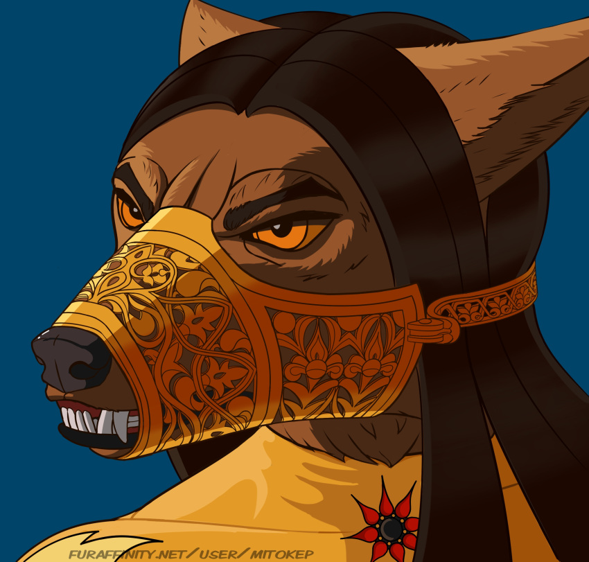 2023 angry anthro bdsm black_hair blue_background bondage bound brown_body brown_fur bust_portrait canid canine canis clenched_teeth clothing digital_media_(artwork) ears_back ears_down floral_pattern fur girly gold_(metal) hair harem_outfit hi_res jackal leaf_print long_hair looking_forward male mammal metal mitokep muzzle_(object) muzzled orange_eyes ornate_clothing pivoted_ears portrait simple_background skinsuit snarling solo submissive submissive_male teeth text tight_clothing url zanaa_(mitokep)