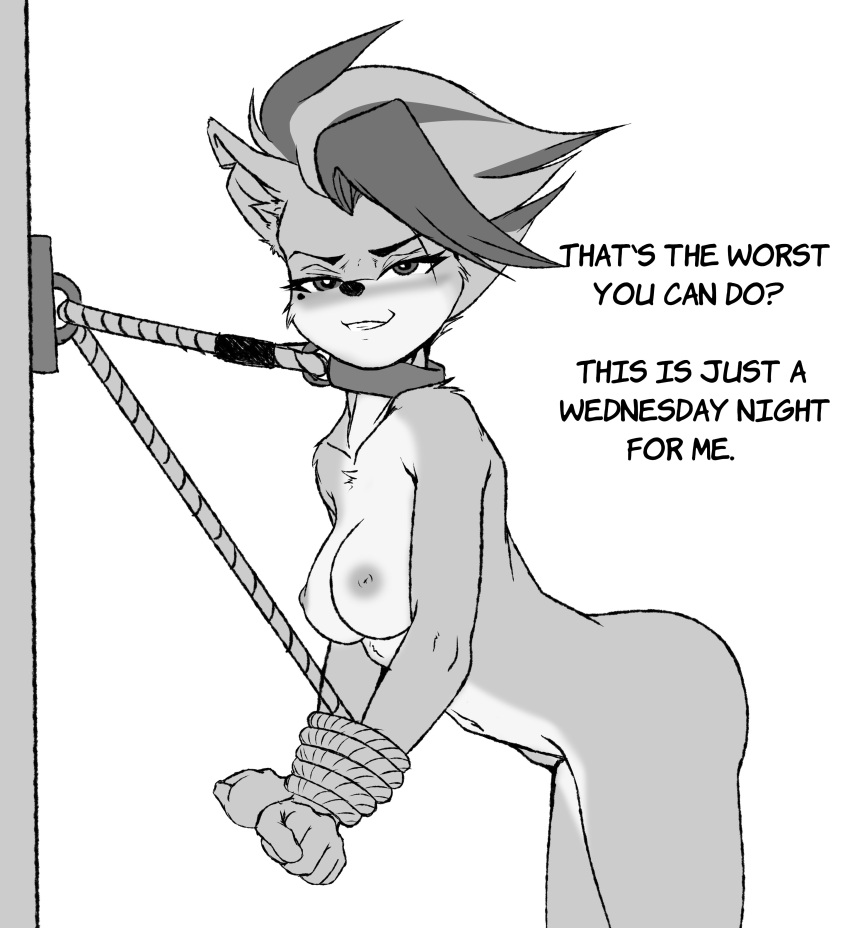 absurd_res activision anthro arms_tied bandicoot bdsm beauty_mark bent_over bondage bound breasts collar crash_bandicoot_(series) dialogue female greyscale hi_res looking_at_viewer mammal marsupial monochrome nipples notched_ear nude pirate_tawna restraints rope rope_bondage sketch smile solo theunnoticedone