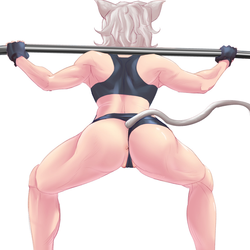 1girl absurdres anus ass cameltoe gloves gym gym_shorts gym_uniform highres hunter_x_hunter naiacc7 neferpitou peeking pussy_grip short_hair shorts solo squatting tail white_hair