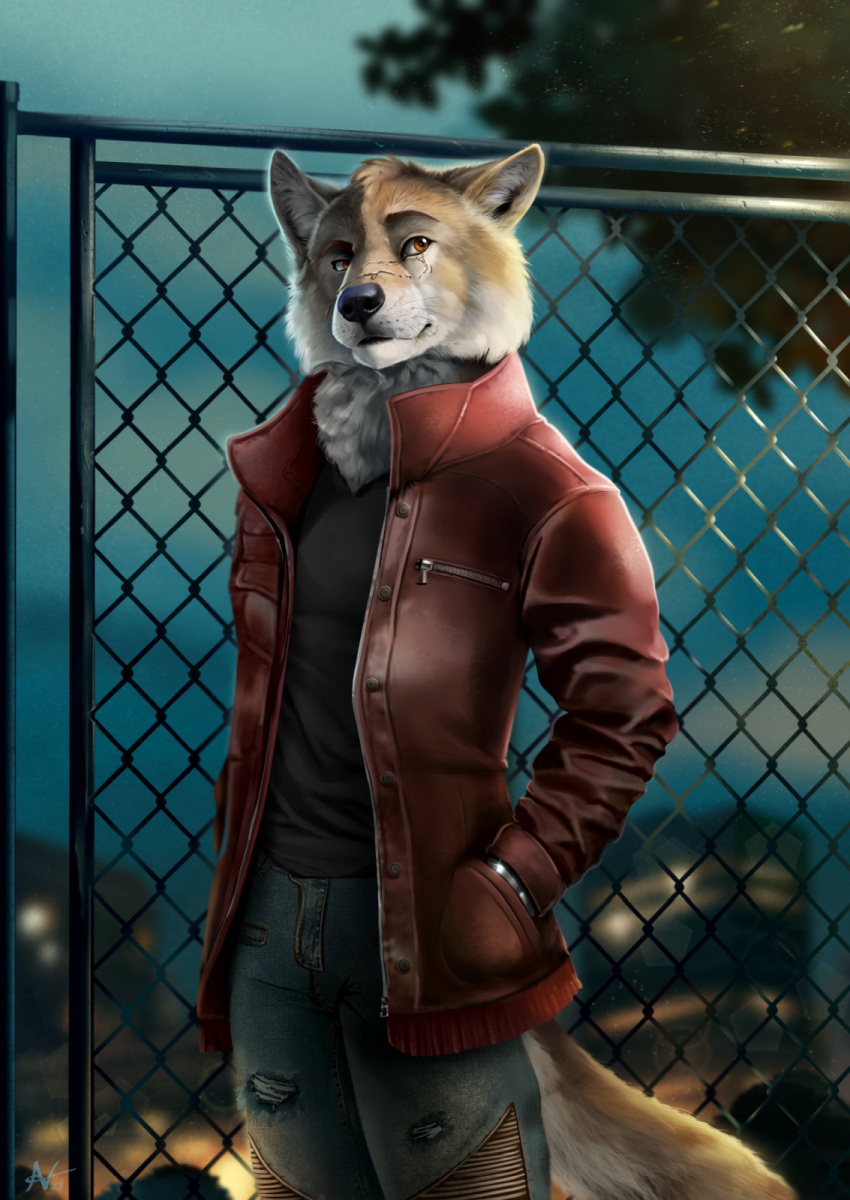 anthro bottomwear building canid canine canis chain-link_fence city city_background clothing coat denim denim_clothing facial_scar fence hands_in_both_pockets hi_res jacket jeans legend_of_ahya male mammal night pants scar solo topwear veyz wolf