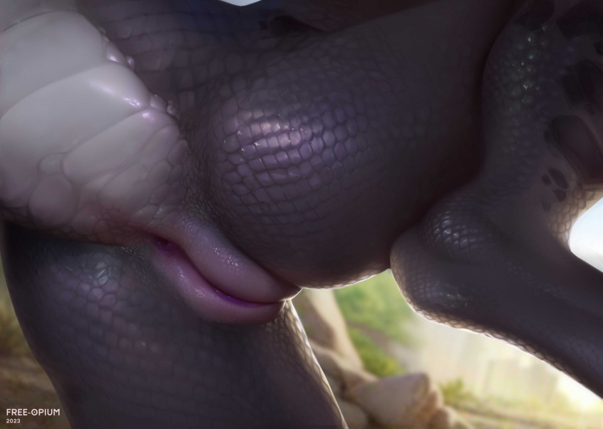 anthro anus butt close-up detailed dragon female free-opium genitals hi_res pussy raised_leg scales scalie solo tail