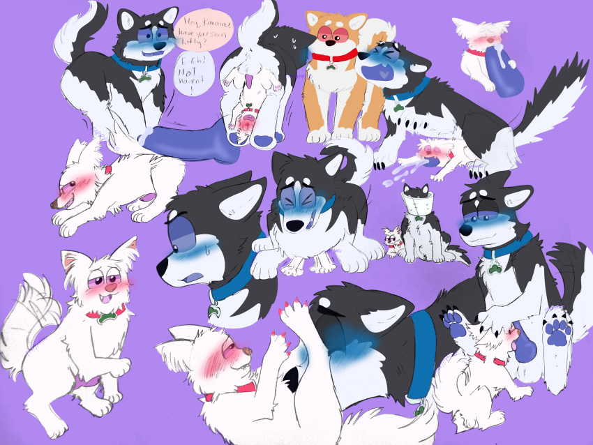 absurd_res all_the_way_through blushing_profusely brother_penetrating_brother bulge canid canine canis chihuahua chimeracocks collar collar_only dialogue domestic_dog duo extreme_penetration extreme_size_difference fellatio feral genitals hi_res husky incest_(lore) karamatsu_matsuno licking male male/male mammal matsuno_karamatsu matsuno_todomatsu mr._osomatsu nordic_sled_dog nude oral osomatsu_matsuno penetration penile penis penis_lick penis_on_butt sex shiba_inu size_difference spitz todomatsu_matsuno tongue tongue_out toy_dog