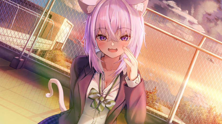 1girl :d absurdres animal_ears black_jacket bow bowtie breasts cat_ears cat_girl cat_tail chain-link_fence fang fence highres hololive jacket long_sleeves looking_at_viewer medium_breasts nekomata_okayu nyoon on_rooftop open_clothes open_jacket open_mouth plaid plaid_skirt purple_eyes purple_hair rooftop shirt skirt smile tail twilight virtual_youtuber white_shirt