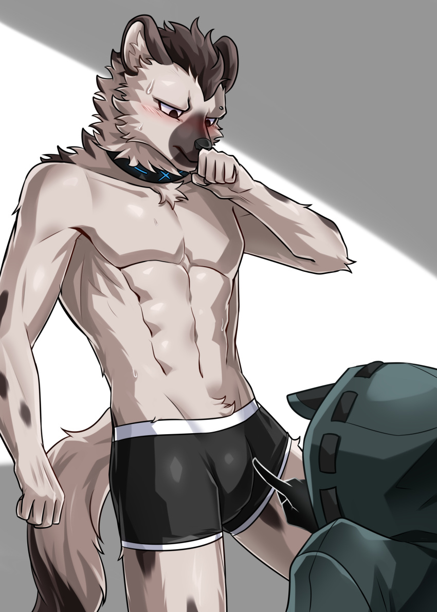 2023 5_fingers absurd_res anthro arknights athletic athletic_anthro athletic_male black_body black_clothing black_fur black_hair blush bulge clothed clothing coat collar doctor_(arknights) duo e_convenient eyebrow_piercing facial_piercing fingers fur grey_body grey_fur hair hi_res hyena hypergryph looking_at_another male male/male mammal piercing spot_(arknights) spots spotted_body spotted_fur spotted_hyena studio_montagne topwear touching_bulge underwear underwear_only