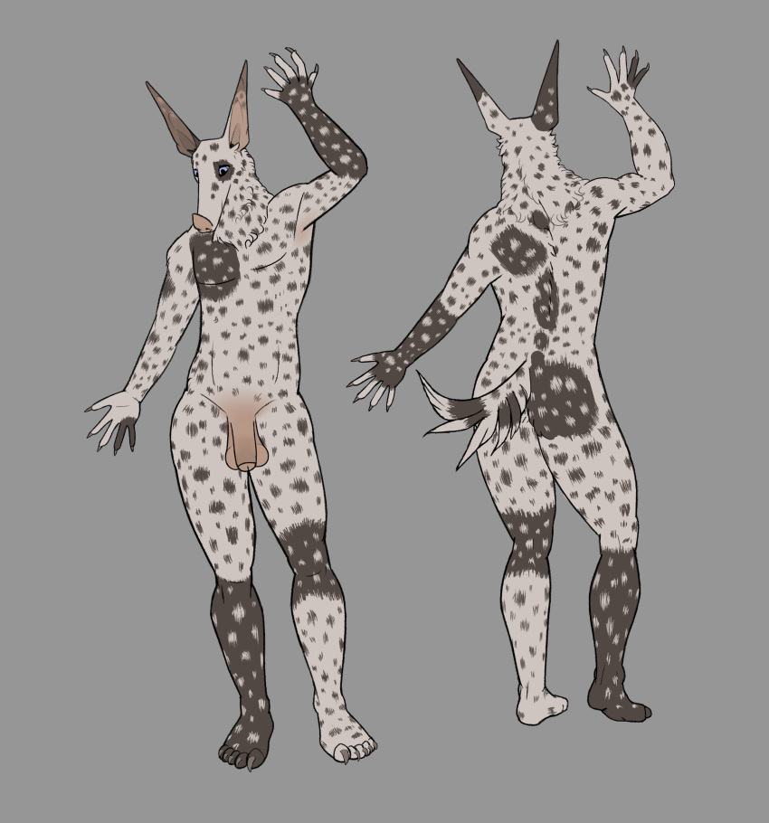 absurd_res anthro balls bat bat_nose black_body black_fur blue_eyes butt canid canine claws demon eye_spot feet foreskin fur genitals harpsichord_(artist) hi_res humanoid_feet humanoid_genitalia humanoid_penis long_ears male mammal markings model_sheet partially_retracted_foreskin penis pink_nose pippuri_(harpsichord) plantigrade raised_arm rear_view short_tail solo spots spotted_body spotted_fur spotted_markings spotted_tail standing tail tail_markings white_body white_fur