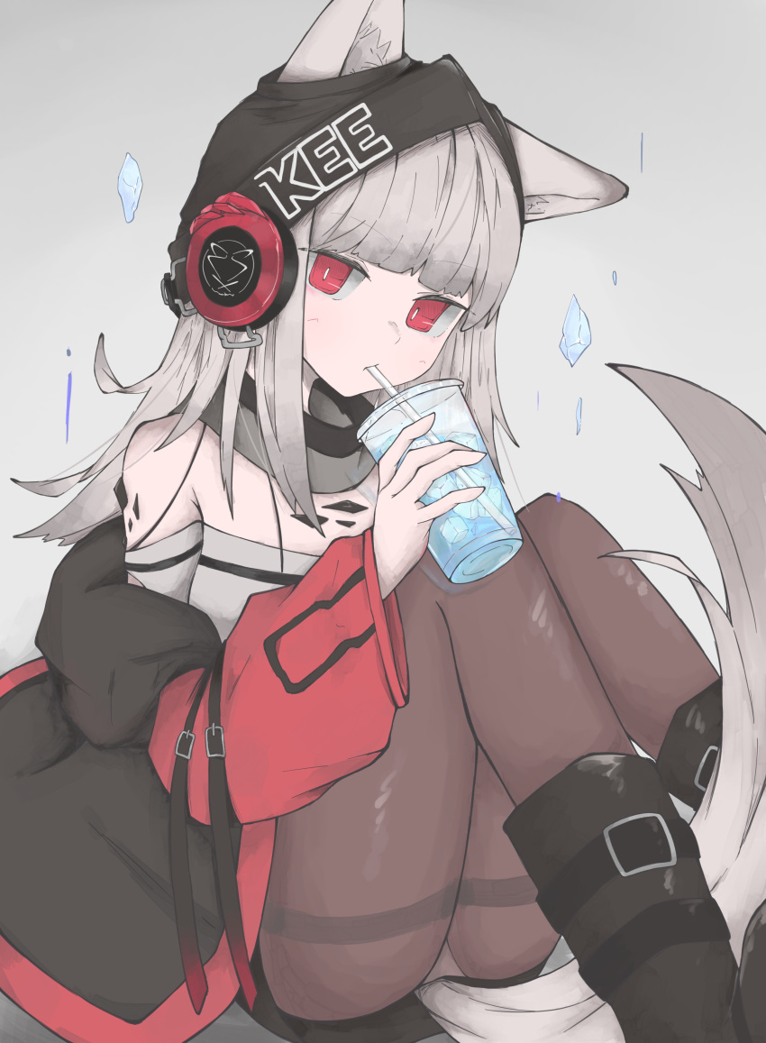 1girl absurdres animal_ears arknights black_footwear black_headwear blunt_bangs boots brown_pantyhose commentary detached_collar drink drinking drinking_straw frostleaf_(arknights) full_body gradient_hair grey_background grey_hair hat headphones highres holding holding_drink ice ice_cube implied_extra_ears jacket knees_up looking_at_viewer medium_hair multicolored_hair nyo_(fy_1) open_clothes open_jacket oripathy_lesion_(arknights) pantyhose red_eyes red_jacket simple_background solo tail thigh_boots