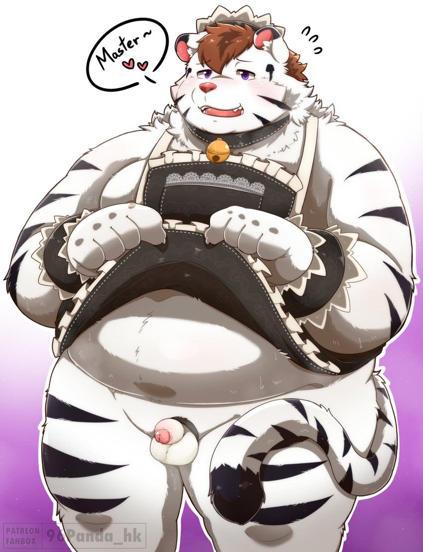 96panda accessory anthro balls belly blush bottomwear clothed clothing clothing_lift cock_ring crossdressing felid flaccid foreskin fur genitals hi_res jewelry maid_uniform male mammal overweight pantherine penis penis_accessory penis_jewelry skirt skirt_lift solo striped_body striped_fur stripes tiger uniform white_body white_fur