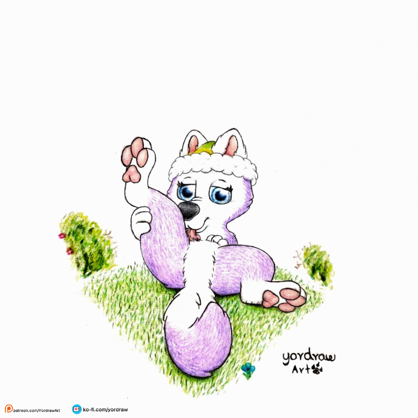butt cute_expression cute_eyes everest_(paw_patrol) female feral grass hi_res licking lying lying_on_ground on_back patreon patreon_link patreon_logo patreon_username paw_patrol pawpads paws plant self_lick smile smiling_at_viewer solo spread_legs spreading tail text tongue tongue_out url yordraw