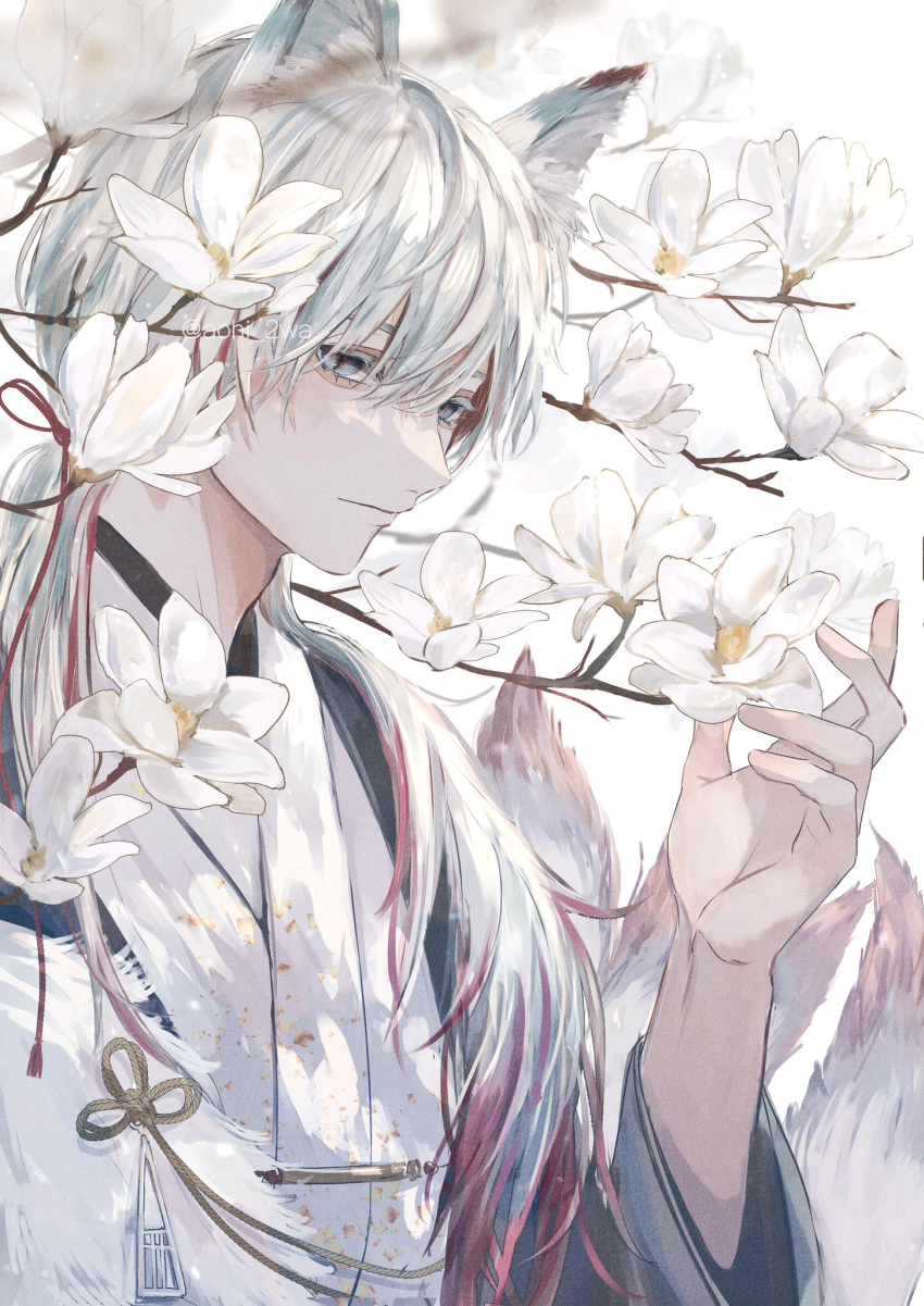 1boy animal_ears aohi_2wa black_jacket blue_eyes blurry branch closed_mouth colored_eyelashes depth_of_field expressionless feather_boa flower fox_boy fox_ears fox_tail hair_between_eyes hair_over_shoulder hair_ribbon haori highres jacket japanese_clothes kimono long_hair magnolia male_focus multicolored_hair multiple_tails original red_hair red_ribbon ribbon simple_background solo streaked_hair tail tress_ribbon upper_body white_background white_flower white_hair white_kimono