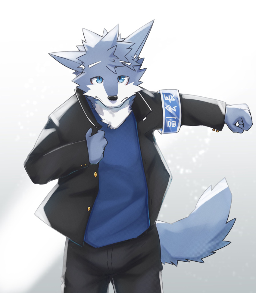 anthro asian_clothing asleepchef blue_body blue_eyes bottomwear canid clothing east_asian_clothing hair hi_res japanese_clothing japanese_school_uniform looking_at_viewer male mammal multicolored_body pants school_uniform shirt simple_background solo tail topwear uniform