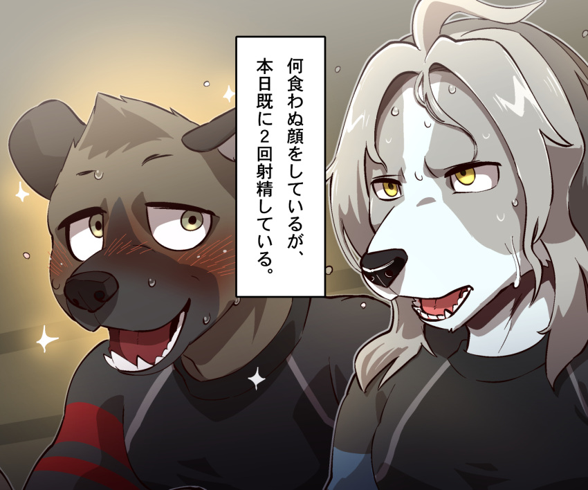 2023 aggretsuko anthro black_nose blush brown_body brown_fur canid canine canis clothing director_himuro domestic_dog duo fur grey_body grey_fur haida_(aggretsuko) hi_res hunting_dog hyena japanese_text looking_at_another male mammal nikuanabe nikuanabe1998 open_mouth saluki sanrio shirt sighthound spotted_hyena t-shirt text topwear white_body white_fur yellow_eyes