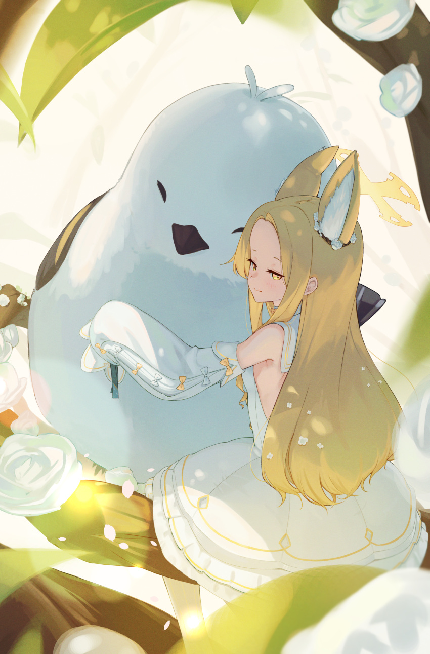 1girl absurdres animal_ears backless_dress backless_outfit bird blonde_hair blue_archive bright_pupils closed_mouth commentary_request dappled_sunlight detached_sleeves dress forehead fox_ears fox_girl half-closed_eyes halo highres hug jitome long_hair long_sleeves looking_at_viewer minigirl narrowed_eyes parted_bangs sailor_collar seia_(blue_archive) sitting_on_branch sleeves_past_fingers sleeves_past_wrists smile solo sparrow sunlight uito_yzwa very_long_hair white_dress white_pupils white_sailor_collar yellow_eyes