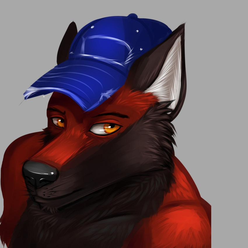 anthro badge ballcap blaze_wolf canid canine canis headshot_portrait hi_res looking_at_viewer male mammal portrait pose posing_for_picture reddragon smile solo wolf