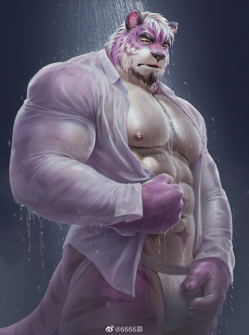 1boy 6suan abs animal_ears bara bare_pectorals bulge chest_hair chest_tuft collared_shirt commission cowboy_shot crotch_grab diamond_(shape) facial_hair forked_eyebrows furry furry_male goatee highres jockstrap large_pectorals long_hair looking_at_viewer male_focus male_underwear mature_male multicolored_hair muscular muscular_male navel nipples no_pants original pectorals ponytail purple_fur sadiend see-through shirt solo stomach streaked_hair thick_eyebrows thick_thighs thighs tiger_boy tiger_ears underwear wet wet_clothes wet_hair wet_shirt white_hair white_male_underwear white_shirt yellow_eyes