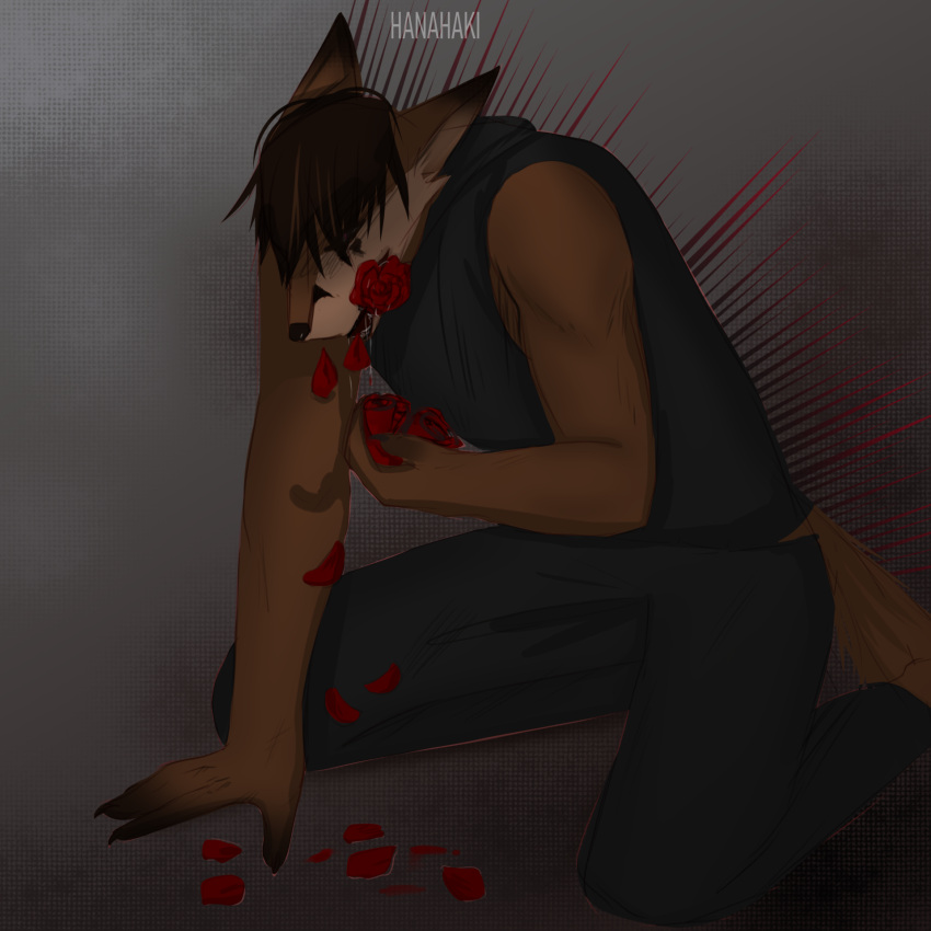 anthro arm_support bodily_fluids canid canine coughing emanata flower flower_in_mouth fox hair hair_over_eyes hanahaki_disease hi_res ill kais_(yourumi) kneeling love lovesick male mammal pain petals plant rose_(flower) rose_in_mouth rose_petals saliva sharp_teeth short_hair solo suffering teeth yourumi