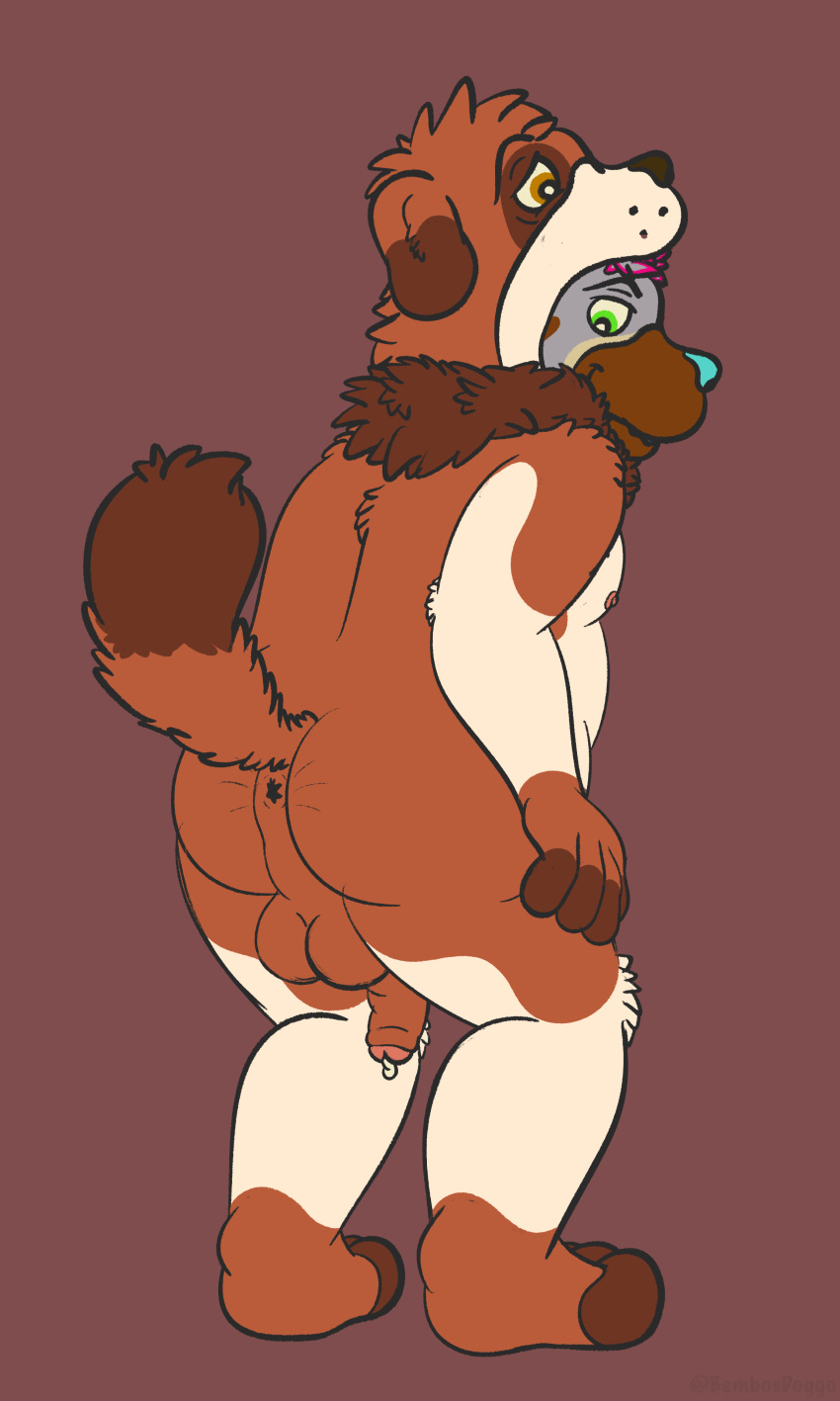 3:5 absurd_res anthro anus bappy_(bembosdoggo) bembosdoggo bodily_fluids canid canine canis clothing domestic_dog fluffy fluffy_tail genital_fluids genitals green_eyes hi_res male mammal molosser moobs mountain_dog nipples penis possession precum saint_bernard simple_background skinsuit solo spread_anus spreading tail takeover tight_clothing yellow_eyes