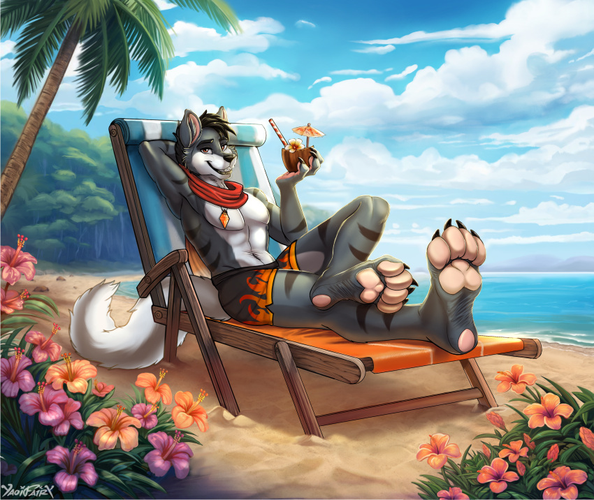 2023 absurd_res anthro beach beach_chair beverage black_hair canid canine clothing coconut coconut_drink container cup drupe_(fruit) elemental_creature elemental_humanoid feet firedog firestone flower food foot_fetish foot_focus fruit fur grey_body grey_fur hair hand_behind_head heel_pad hi_res humanoid jewelry male mammal necklace open_mouth orange_eyes padded_palms pawpads paws pink_pawpads plant plantigrade razor_the_firedog scarf seaside shirtless shirtless_anthro shirtless_male stripes swimming_trunks swimming_trunks_only swimwear tail tree yaoifairy