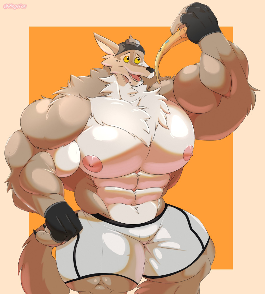 abs anthro big_muscles big_nipples big_pecs black_headgear bottomwear canid canine canis clothing fingerless_gloves fluffy food gloves handwear hi_res holding_food holding_object holding_pizza huge_muscles hyper hyper_muscles looking_at_food looking_at_object male mammal muscular muscular_anthro muscular_male neck_tuft nipples open_mouth pecs pink_nipples pink_tongue pizza pizza_slice ringsfox shorts simple_background solo teeth tongue tuft wendell_(fortnite) white_bottomwear white_clothing white_shorts wolf yellow_background yellow_eyes