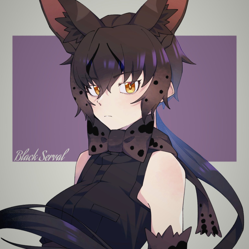 1girl animal_ear_fluff animal_ears black_bow black_bowtie black_gloves black_hair black_serval_(kemono_friends) black_shirt bow bowtie cat_ears cat_girl closed_mouth elbow_gloves extra_ears gloves hauru_252 highres kemono_friends long_hair looking_at_viewer purple_background shirt simple_background sleeveless sleeveless_shirt solo yellow_eyes