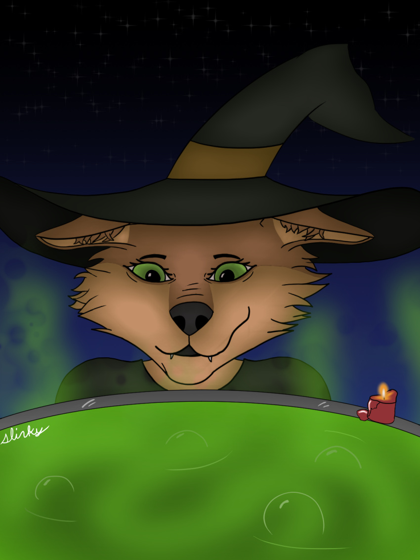 anthro brown_body brown_fur candle candlelight canid canine canis cauldron clothing female fleshslinky fur green_eyes green_liquid hat headgear headwear hi_res light looking_at_viewer mammal nicole_(fleshslinky) night solo star witch_costume witch_hat wolf