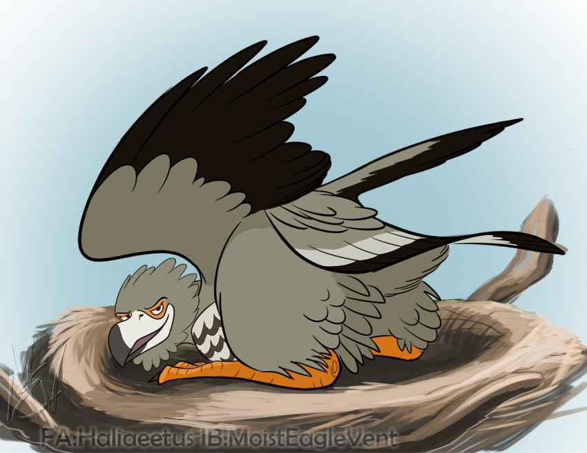 avian beak bent_legs bird brooding disney feathers female harrier_(bird) moisteaglevent mpishi raised_wings solo tail_feathers the_lion_guard the_lion_king wings