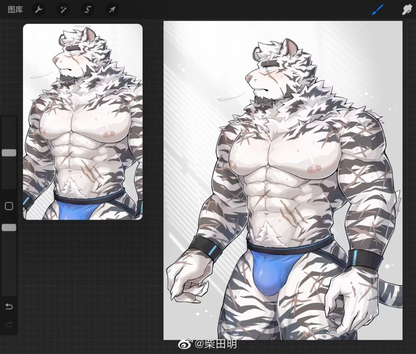 1boy abs animal_ears arknights artist_request bara blue_male_underwear breath bulge close-up collaboration cross_scar eyebrow_cut facial_hair feet_out_of_frame furry furry_male goatee jockstrap large_pectorals looking_to_the_side male_focus male_underwear mature_male mountain_(arknights) muscular muscular_male navel navel_hair nipples pectorals scar scar_across_eye scar_on_arm scar_on_cheek scar_on_chest scar_on_face scar_on_hand scar_on_leg scar_on_stomach shibata_akira short_hair sideburns stomach sweatdrop thick_thighs thighs tiger_boy tiger_ears topless_male underwear underwear_only white_fur