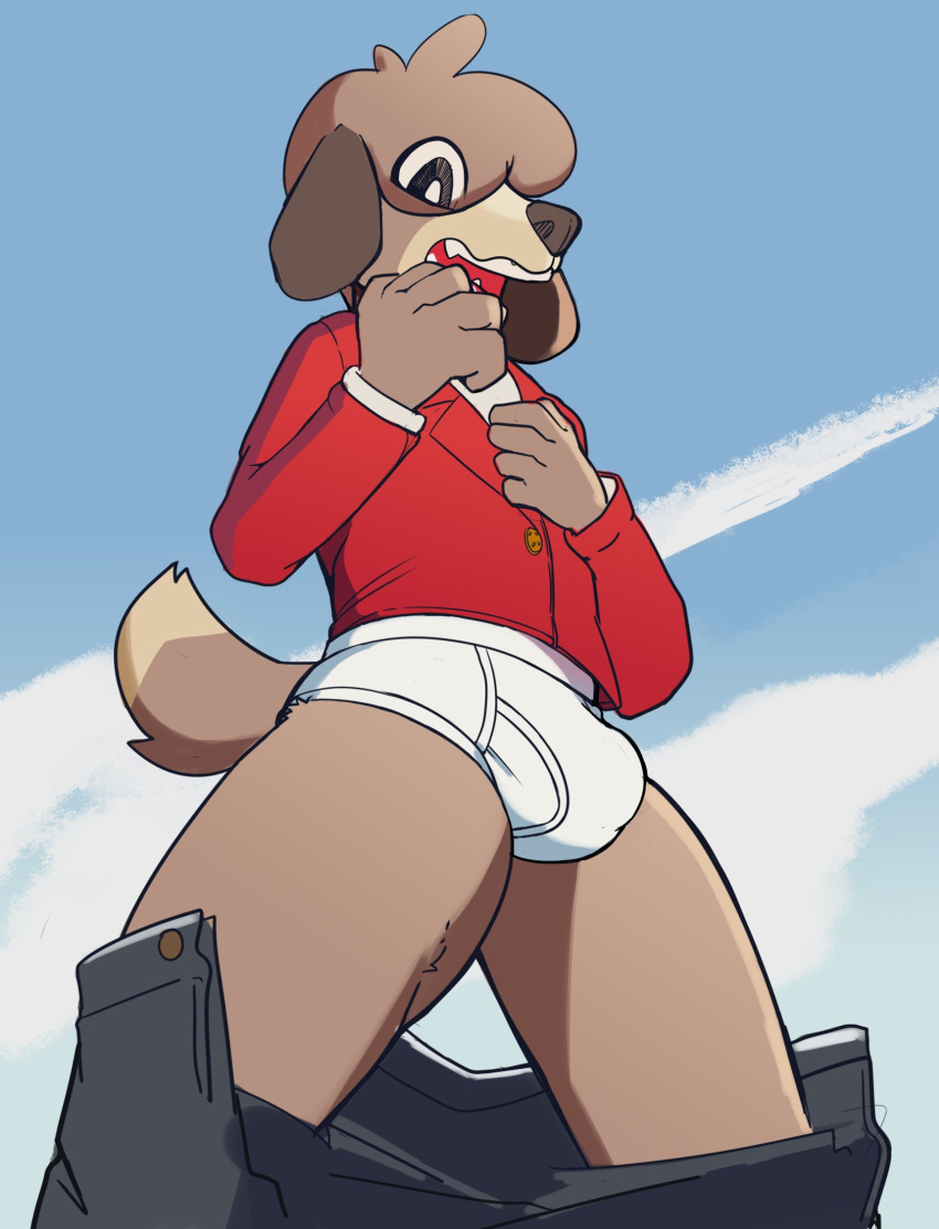 animal_crossing anthro bangs blazer bottomwear bottomwear_down briefs bulge canid canine canis clothed clothing dar-kuu digby_(animal_crossing) domestic_dog embarrassed hi_res male mammal nintendo pants pants_around_knees pants_down partially_clothed shirt solo solo_focus surprise surprised_expression topwear underwear