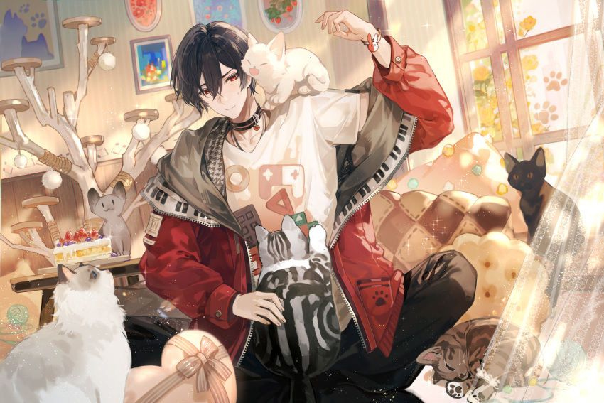 1boy animal_on_shoulder ayn_(for_all_time) black_choker black_hair black_pants bracelet cat cat_on_shoulder cat_tower choker closed_mouth collarbone curtains dutch_angle for_all_time full_body hair_between_eyes hand_up highres indoors jacket jewelry layered_clothes long_sleeves looking_at_viewer male_focus multiple_cats off_shoulder original painting_(object) pants picture_(object) red_eyes red_jacket senryoko shirt short_hair sidelocks sitting smile solo sweatdrop t-shirt white_shirt window zipper