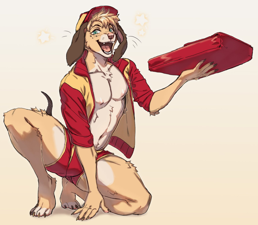 2023 anthro canid canine canis clothed clothing crouching delivery_(commerce) domestic_dog floppy_ears food_delivery hat headgear headwear hi_res jacket male mammal navel nipples open_clothing open_jacket open_mouth open_topwear pizza_box pizza_delivery sei_kasu simple_background solo tiptoes topwear underwear