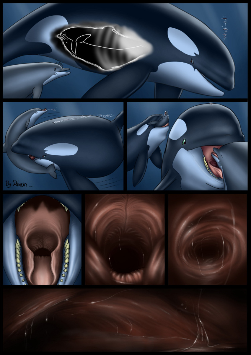 2014 alternate_version_at_source ambiguous_gender ambiguous_pred ambiguous_prey artist_name blowhole bodily_fluids breathing bubble cetacean comic dolorcin dolphin echolocation erection fellatio female female_penetrated feral feral_on_feral feral_penetrated feral_penetrating feral_penetrating_feral feral_pred feral_prey fully_inside genitals group head_first hi_res internal intraspecies male male/female male/male male_penetrated male_penetrating male_penetrating_female male_penetrating_male male_pred male_prey mammal marine mouth_shot multiple_pred multiple_prey oceanic_dolphin open_mouth oral oral_penetration oral_vore orca organs partially_inside penetration penile penile_penetration penis penis_in_mouth sex sex_inside_body soft_vore stomach stomach_acid tail_first toothed_whale vore