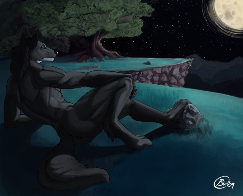 2009 anthro canid canine canis cliff digitigrade full_moon green_eyes male mammal moon muscular night nude omari outside plant signature solo thundergrey tree wolf