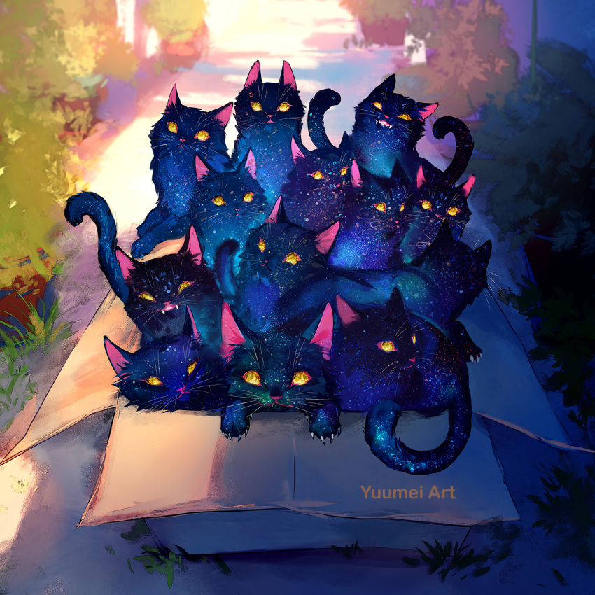 6+others animal_focus artist_name box bush cardboard_box cat claws day english_commentary highres in_box in_container looking_at_viewer multiple_others no_humans original outdoors sky space star_(sky) starry_sky whiskers yellow_eyes yuumei