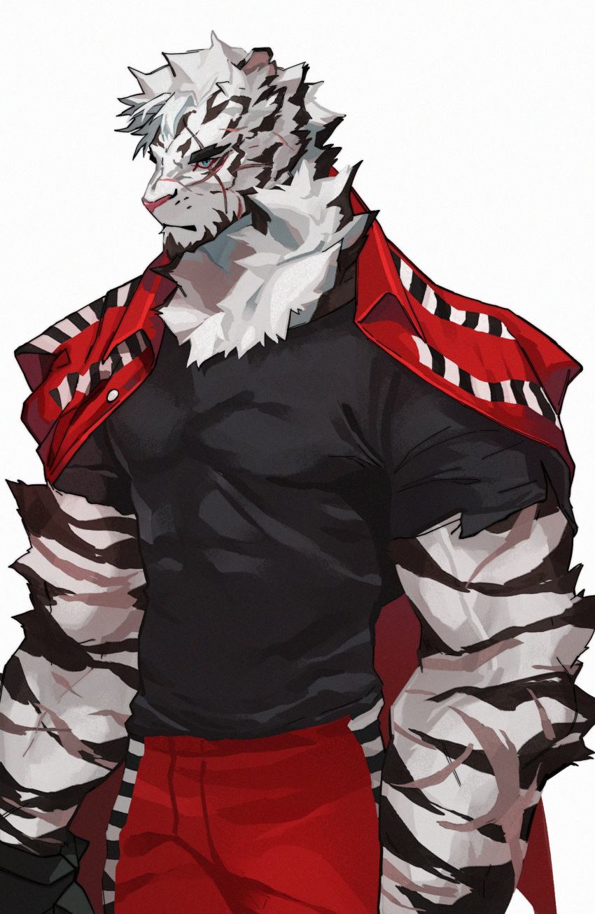1boy animal_ears arknights bara black_shirt facial_hair feet_out_of_frame furry furry_male goatee hagrang highres jacket jacket_over_shoulder jacket_removed large_pectorals male_focus mountain_(arknights) muscular muscular_male pectorals scar scar_across_eye scar_on_arm shirt short_hair sideways_glance solo thick_eyebrows tiger_boy tiger_ears white_hair