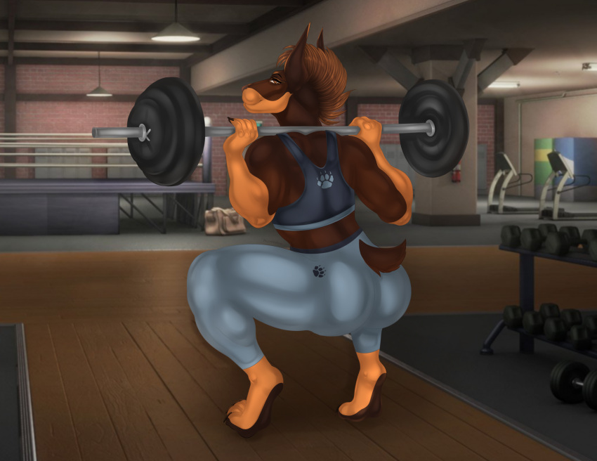 2023 4_toes 5_fingers amber_eyes anthro athletic athletic_anthro athletic_female back_muscles barbell bottomwear bra brown_body brown_fur butt canid canine canis clothing crouching digital_drawing_(artwork) digital_media_(artwork) dobermann docked_tail domestic_dog exercise feet female fingers fur gym hair hi_res mammal mohawk multicolored_body multicolored_fur multicolored_hair muscular muscular_anthro muscular_female natttttalina nuria_bernat pants pawpads pinscher prick_ears short_tail solo sport sports_bra sweatpants tail thick_thighs toes two_tone_body two_tone_fur two_tone_hair underwear weightlifting weights workout yoga_pants