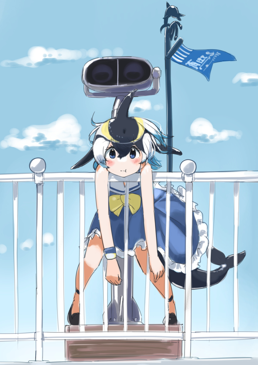 absurd_res animal_humanoid cetacean cetacean_humanoid clothed clothing common_dolphin dolphin dolphin_humanoid dress female hi_res humanoid iwafish kemono_friends malka_(kemono_friends) mammal marine marine_humanoid oceanic_dolphin short-beaked_common_dolphin solo toothed_whale