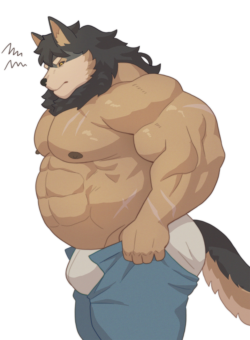 abs biceps black_body black_fur black_sclera bottomwear bottomwear_pull canid canine canis clothing clothing_pull ear_tuft fur hi_res kusunagi male mammal meme muscular muscular_male nipples pants pants_pull pecs scar simple_background solo tan_body tan_fur tight_pants_(meme) tuft underwear white_background wolf yellow_eyes