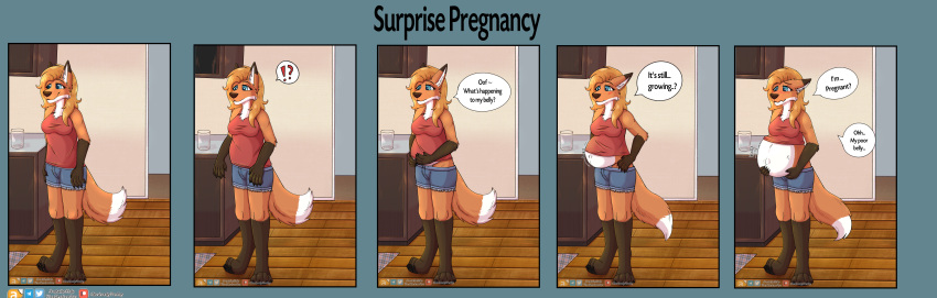 absurd_res anthro canid canine chaseb2 female fox fruitbuffalo hi_res inflation mammal pregnancy_confusion pregnancy_progression pregnant solo