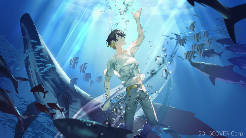 1boy absurdres air_bubble arm_up belt black_footwear black_hair blonde_hair bubble copyright feet_out_of_frame fish grey_pants hair_between_eyes highres holostars light_rays male_focus midriff_peek multicolored_hair official_art pants parted_lips profile school_of_fish serita_jon shark shirt shoes short_hair sneakers solo t-shirt tropical_fish two-tone_hair underwater virtual_youtuber whale white_shirt yatogami_fuma yellow_belt yellow_eyes
