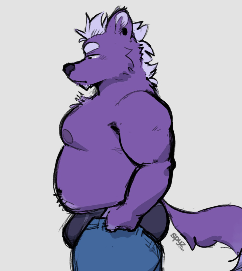 2023 annoyed anthro belly biceps big_belly black_clothing black_nose black_underwear bottomwear bulge canid canine chin_tuft clothed clothing denim denim_clothing ear_piercing ear_ring eyebrows facial_tuft fur hair half-closed_eyes hi_res inner_ear_fluff jeans kodi_(spyzslair) male mammal meme mouth_closed narrowed_eyes navel nipples pants partially_clothed piercing pulling_up_pants purple_body purple_fur purple_tail ring_piercing signature simple_background slightly_chubby solo solo_focus spyzslair tail tight_pants_(meme) tuft underwear white_background white_eyebrows white_hair