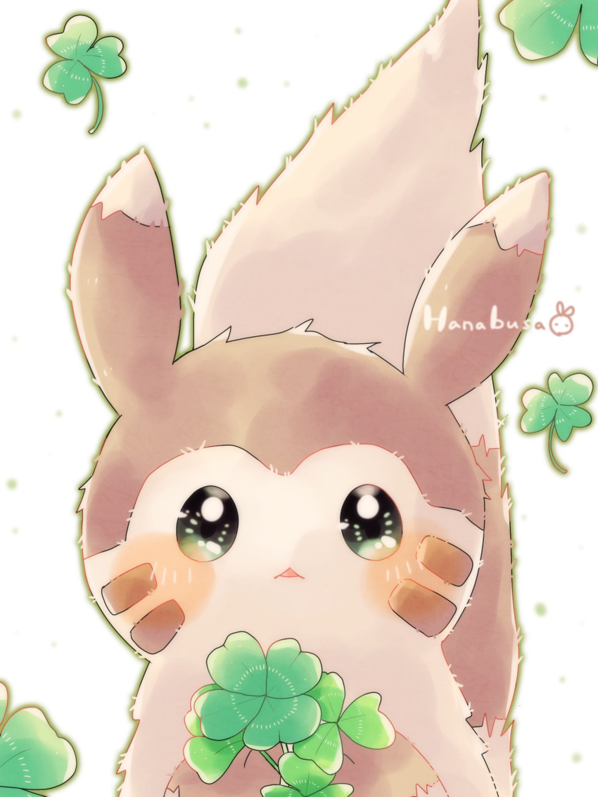 animal_focus artist_name blush brown_fur clover commentary_request four-leaf_clover furret hanabusaoekaki highres looking_at_viewer no_humans pokemon pokemon_(creature) solid_oval_eyes solo tail white_fur