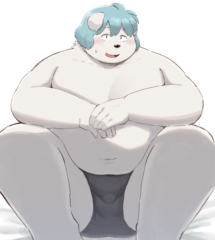 2023 anthro belly big_belly bina_(sv_grart) blue_hair blush canid canine canis clothing domestic_dog hair hi_res humanoid_hands kemono male mammal navel overweight overweight_male solo sv_grart underwear