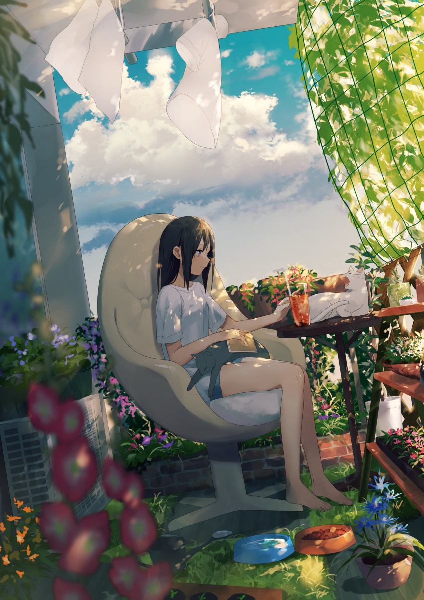 1girl absurdres achiki air_conditioner animal animal_on_lap bare_legs barefoot black_hair blue_flower blue_sky blurry book bowl brick cat cat_on_lap chair closed_mouth cloud cup dappled_sunlight day depth_of_field drink drinking_glass dutch_angle flower flower_pot from_side garden grey_hair headpat highres holding holding_book laundry leaf long_hair looking_away morning_glory net office_chair on_lap open_mouth orange_flower original outdoors pet_bowl pink_flower plant potted_plant purple_flower scenery shelf shirt short_sleeves shorts sitting sky smile solo sunlight swivel_chair t-shirt table tree vines watering_can white_shirt wind yawning