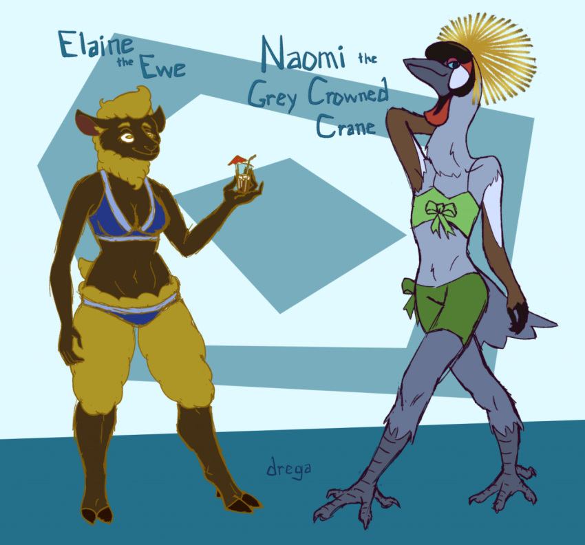 anthro avian avian_caruncle avian_feet beverage bikini bird bovid bow_accessory breasts caprine cleavage clothed clothing crane_(bird) crowned_crane dewlap_(anatomy) dregadude duo female fur grey_crowned_crane gruiform hooves horizontal_pupils mammal navel pose pupils sheep swimwear wattle yellow_body yellow_fur