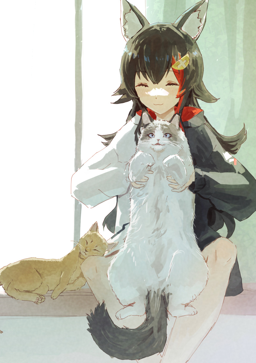 1girl :d animal animal_ears black_hair black_hoodie black_shorts cat closed_eyes commentary_request feet_out_of_frame flipped_hair hair_ornament hairclip highres holding holding_animal holding_cat hololive hood hoodie indoors long_hair multicolored_hair official_alternate_costume ookami_mio ookami_mio_(3rd_costume) red_hair shorts smile spiked_hair streaked_hair taiga_(ookami_mio) tawa_(ookami_mio) two-tone_hoodie very_long_hair virtual_youtuber white_hoodie window wolf_ears yami_ara