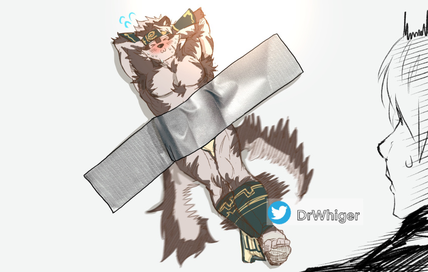 2boys :3 ainu_clothes animal_ears arms_behind_head bara blush brown_hair chest_hair dr_whiger embarrassed full_body furry furry_male grey_fur highres horkeu_kamui kid_taped_to_wall_(meme) large_pectorals male_focus master_4_(housamo) meme multiple_boys muscular muscular_male pectorals pelvic_curtain tokyo_afterschool_summoners two-tone_fur white_fur wolf_boy wolf_ears